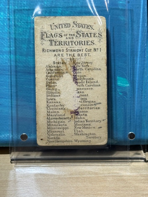 1888 Allen & Ginter N11 Flags of the States and Territories Michigan