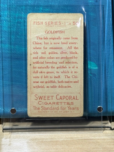 1910 ATC Fish Series Factory 30 NY Series of 50 Sweet Caporal Goldfish