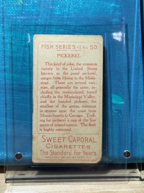 1910 ATC Fish Series Factory 30 NY Series of 50 Sweet Caporal Pickerel
