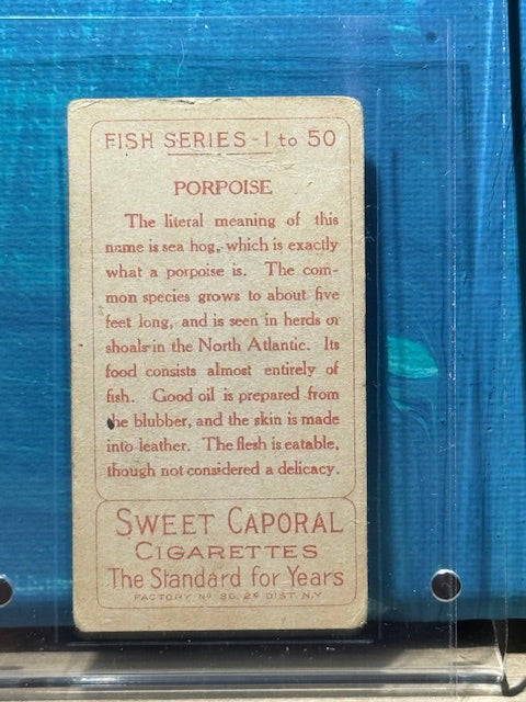 1910 ATC Fish Series Factory 30 NY Series of 50 Sweet Caporal Porpoise