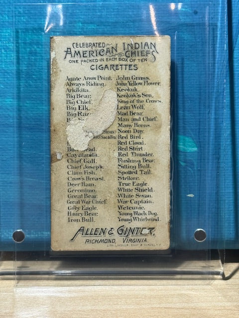 1888 Allen & Ginter N2 American Indian Chiefs Bull Head