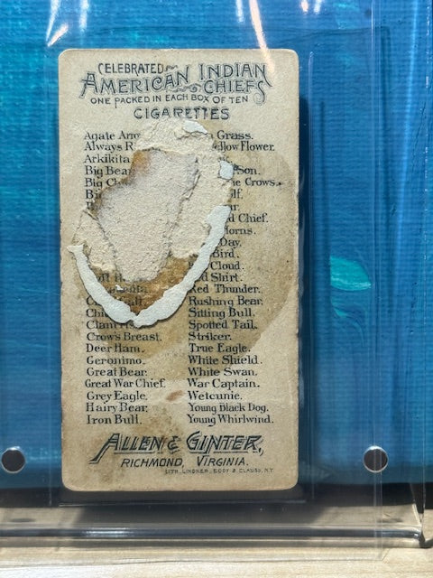 1888 Allen & Ginter N2 American Indian Chiefs Man and Chief