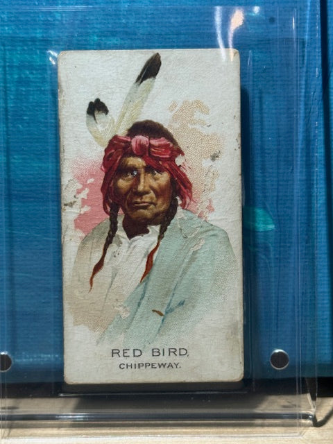 1888 Allen & Ginter N2 American Indian Chiefs Red Bird