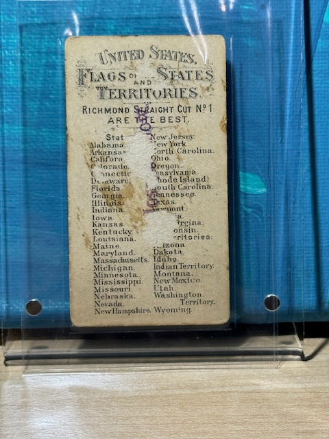 1888 Allen & Ginter N11 Flags of the States and Territories New Mexico