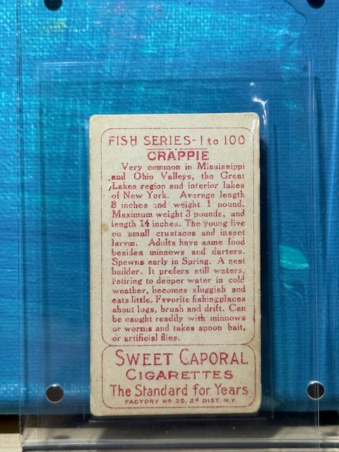 1910 ATC Fish Series Factory 30 NY Series of 100 Sweet Caporal Crappie